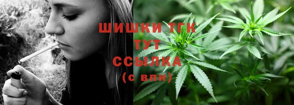 винт Арсеньев