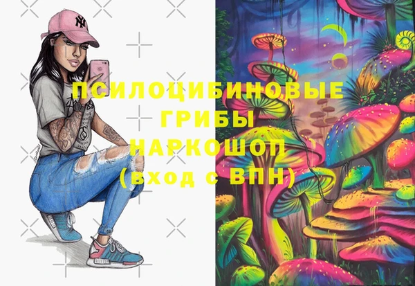 винт Арсеньев
