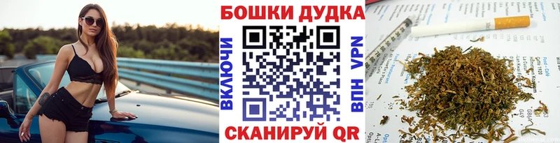 гидра   Починок  Канабис гибрид 